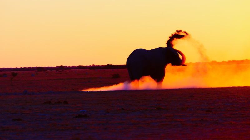 Makgadikgadi Pans