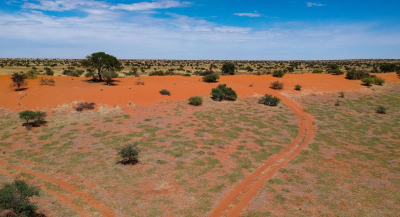 Dune Kalahari