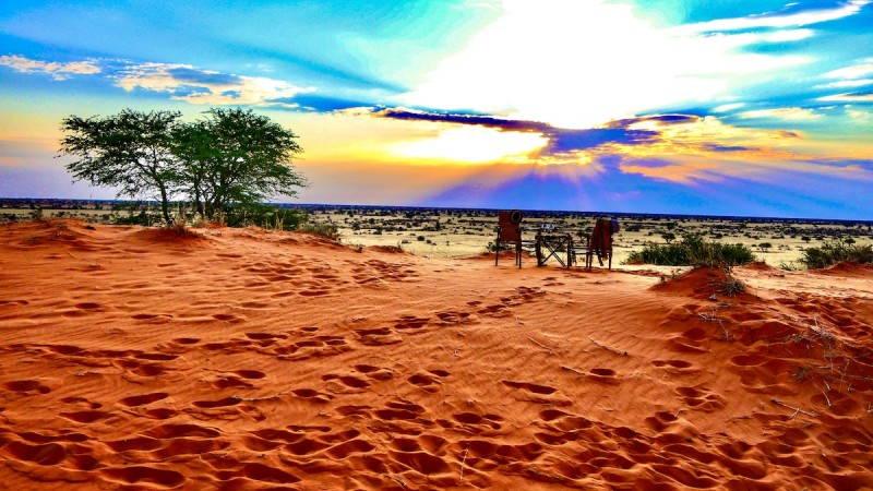 Dune Kalahari