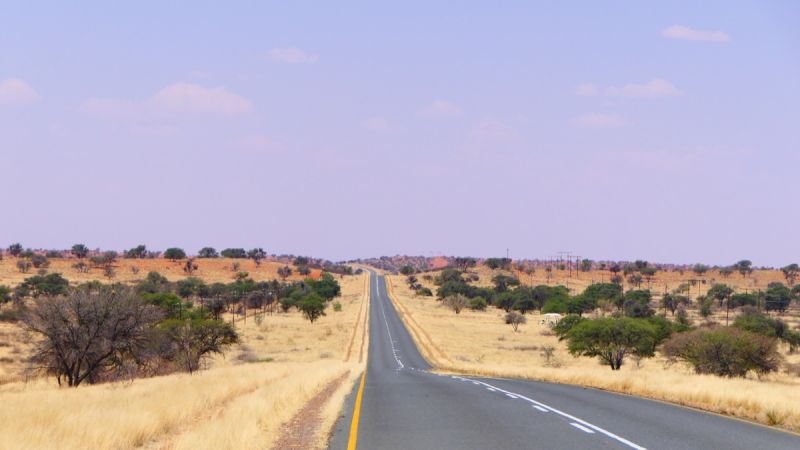 Dune Kalahari