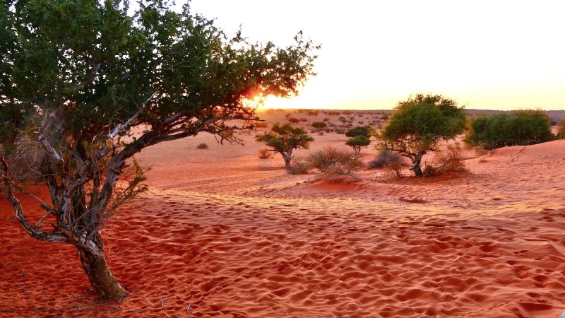 Ancient Kalahari