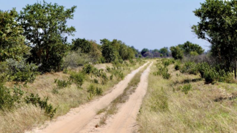 Gcwihaba
