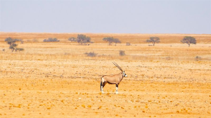 Swakopriver Valley